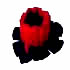 nr 4:  hout rood